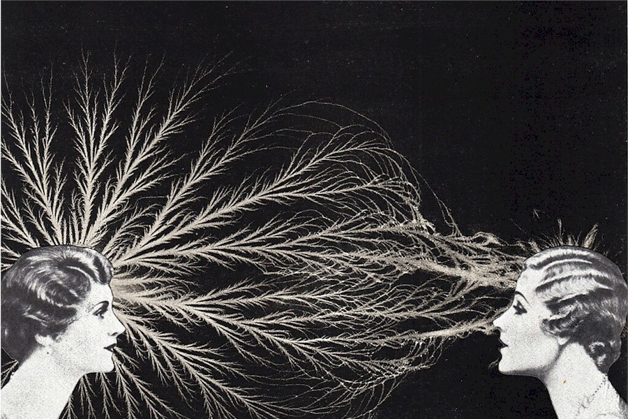 Image by Bob May